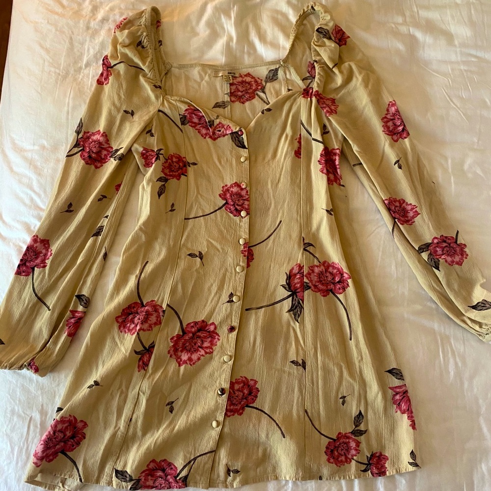 Amuse society mini dress